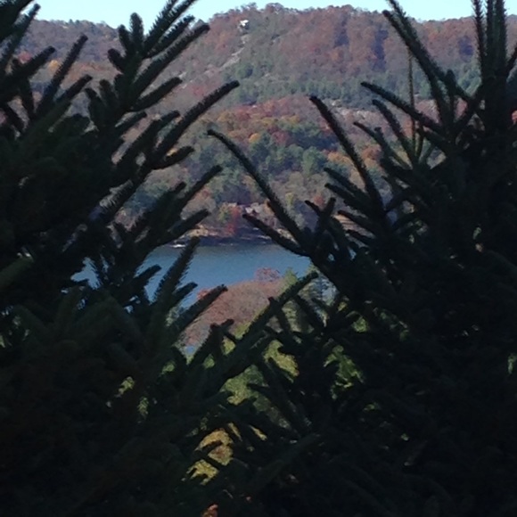 Meet your Posher, Laura - Picture 2 of 2